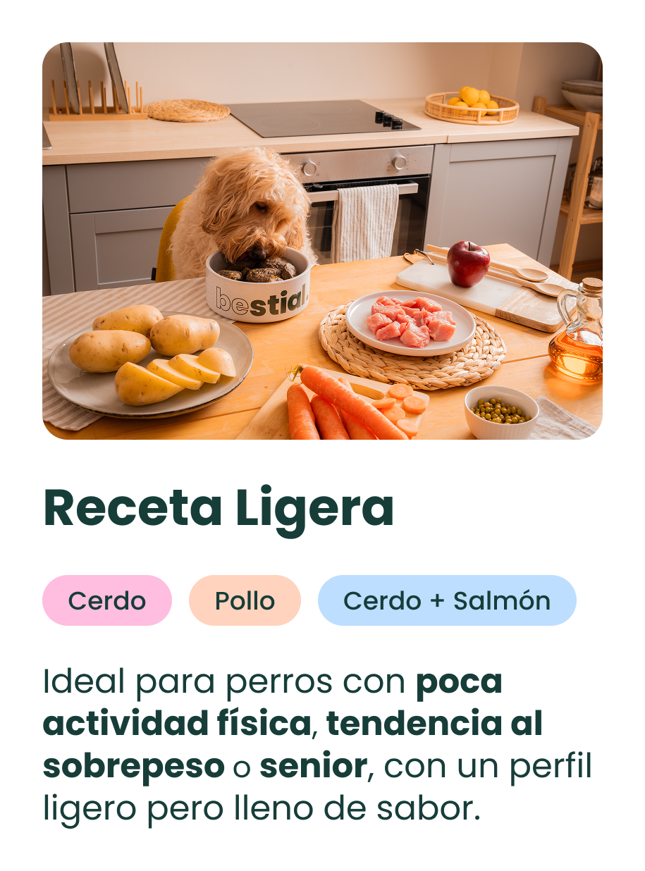 card receta ligera